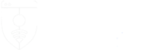 Google site seguro